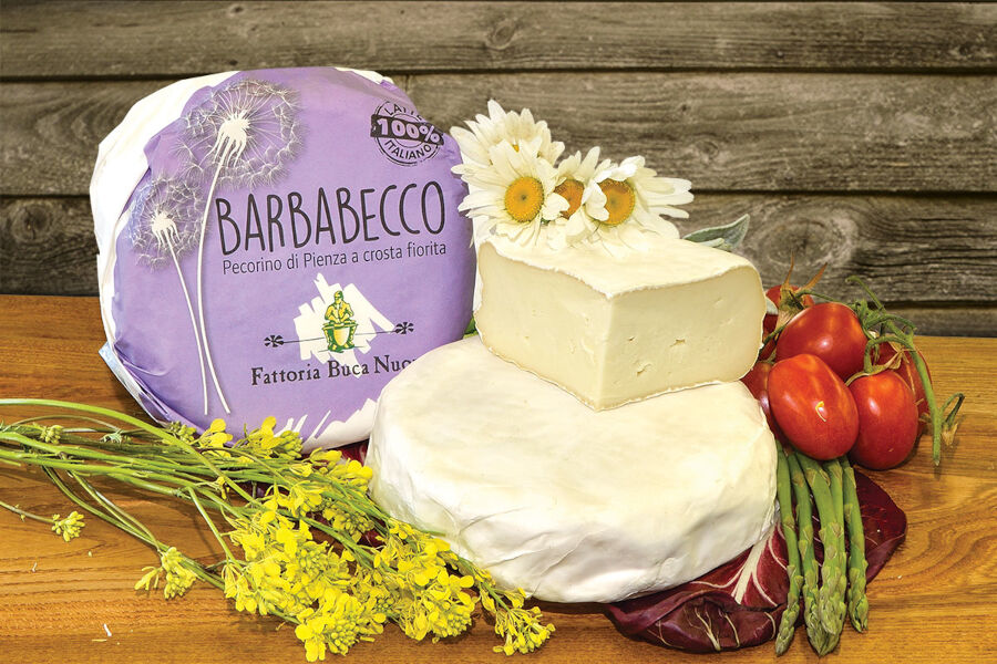 Pecorino pienza barbabecco (cod.1174)