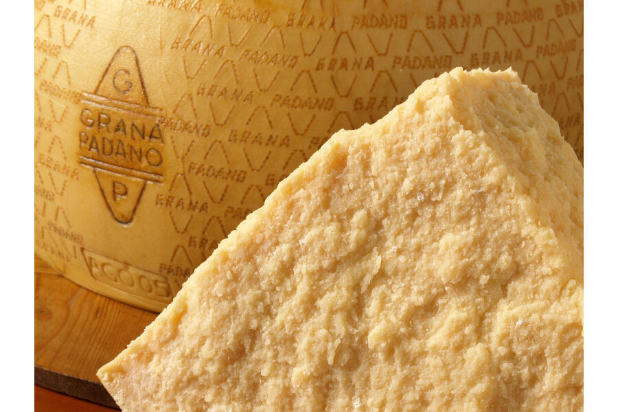 Grana padano (cod.117)